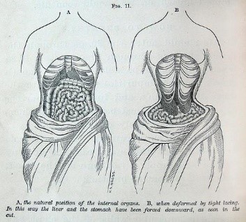 The Changing Silhouette of Victorian Women's Fashions – The