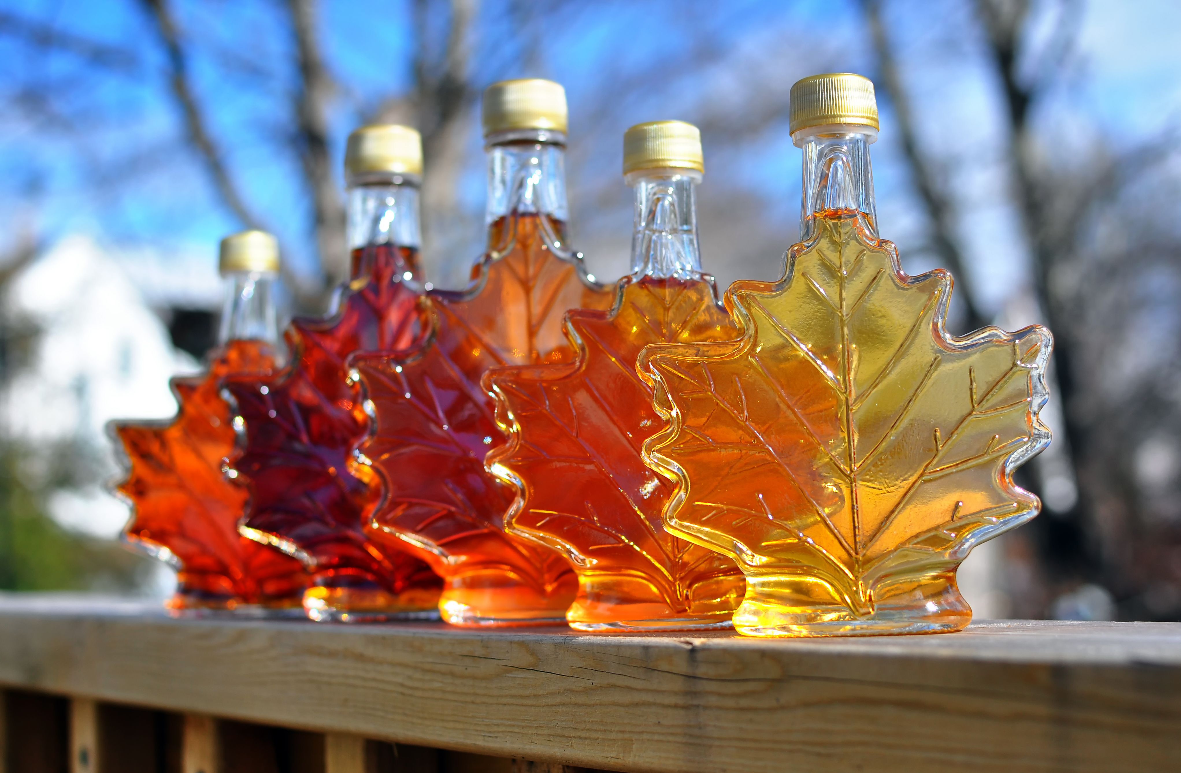 syrup v2